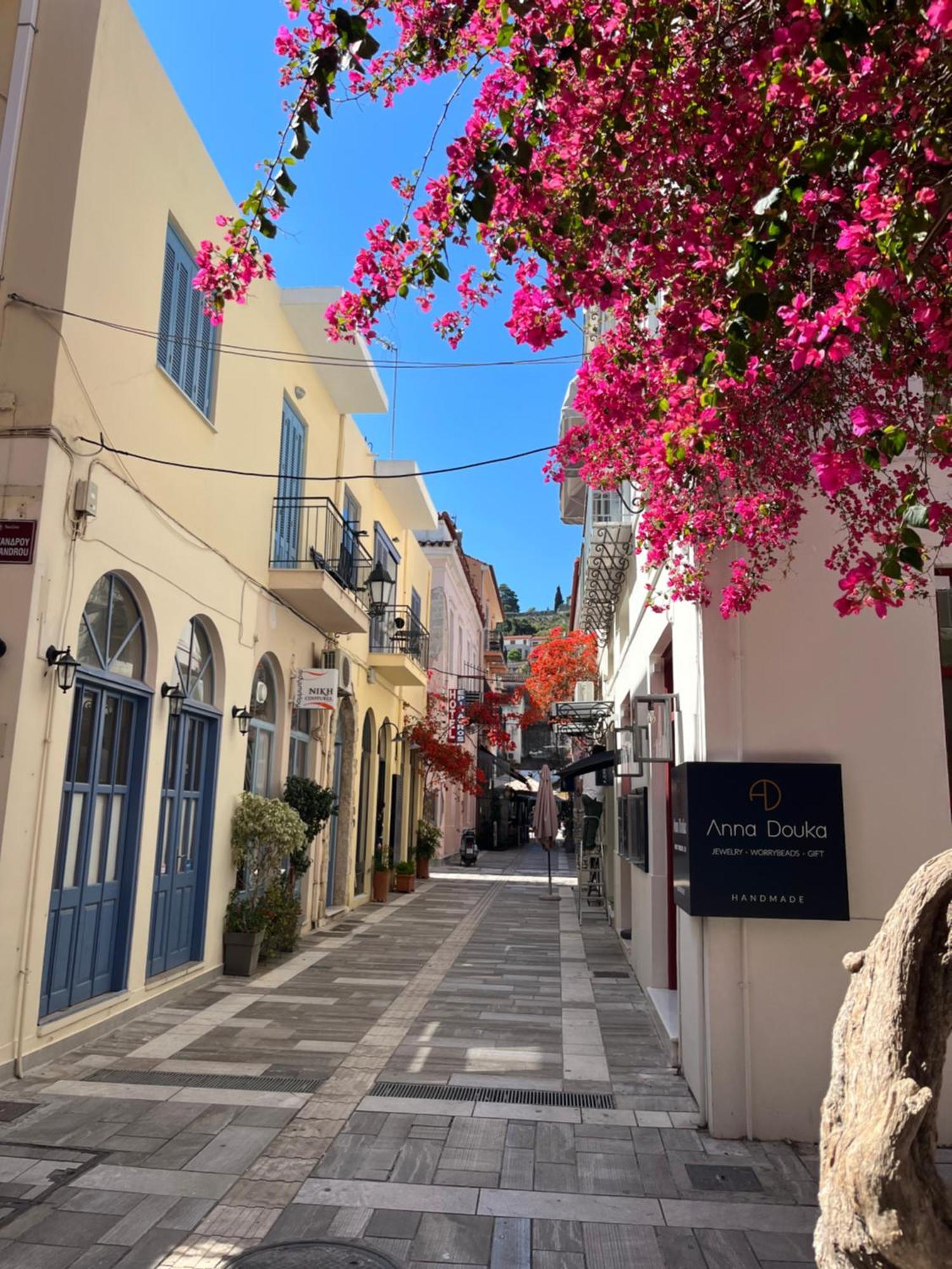 טולון Villa Artemis Nafplion מראה חיצוני תמונה